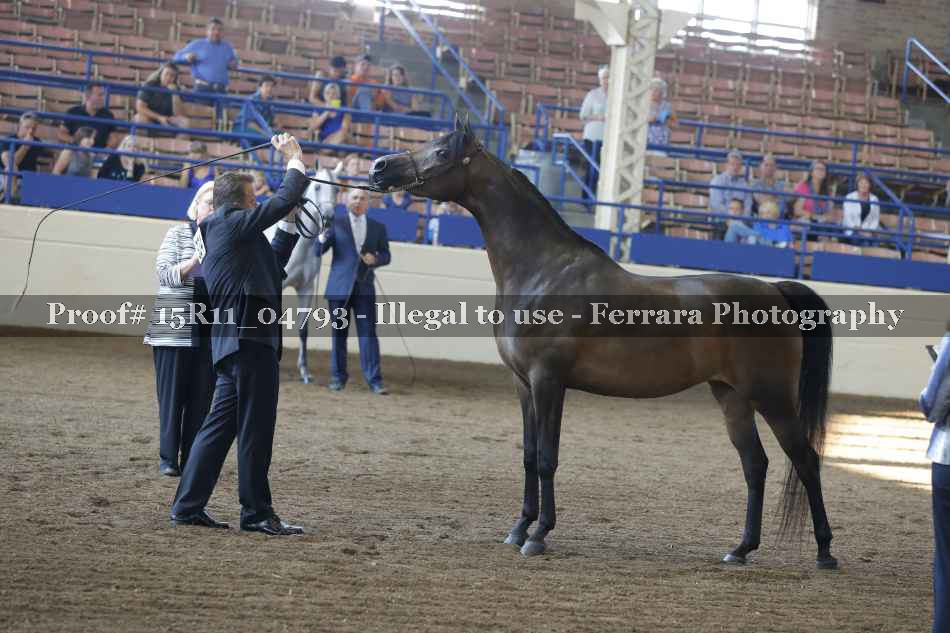 Proof 15R11_04793