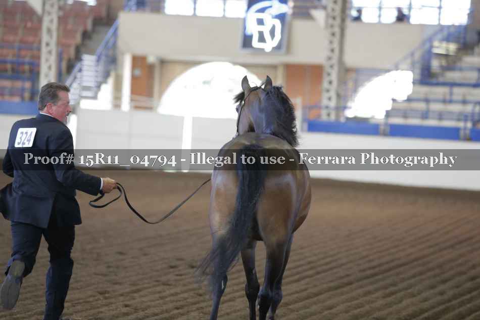 Proof 15R11_04794