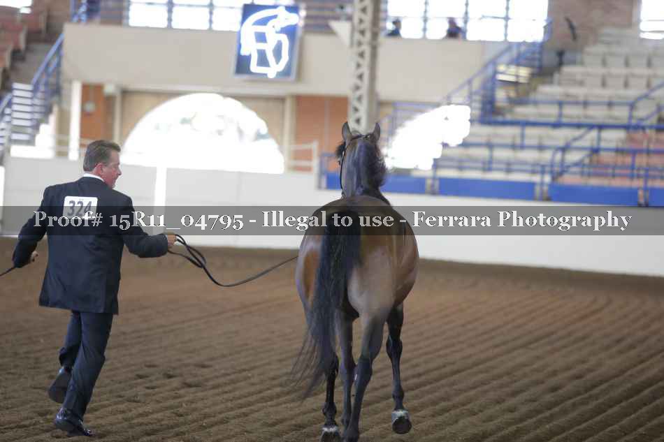 Proof 15R11_04795