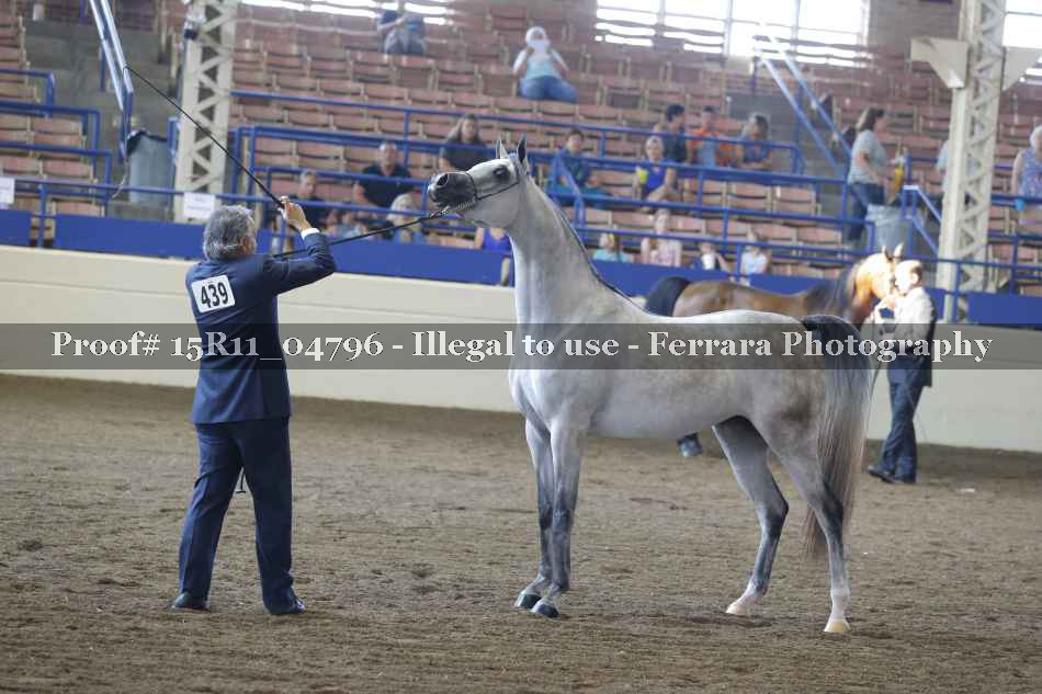 Proof 15R11_04796