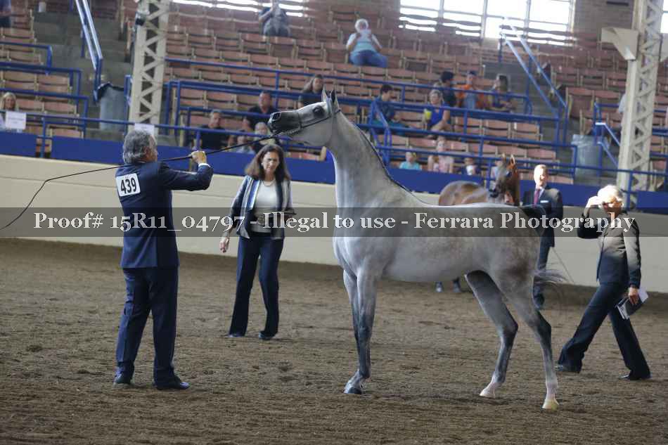 Proof 15R11_04797
