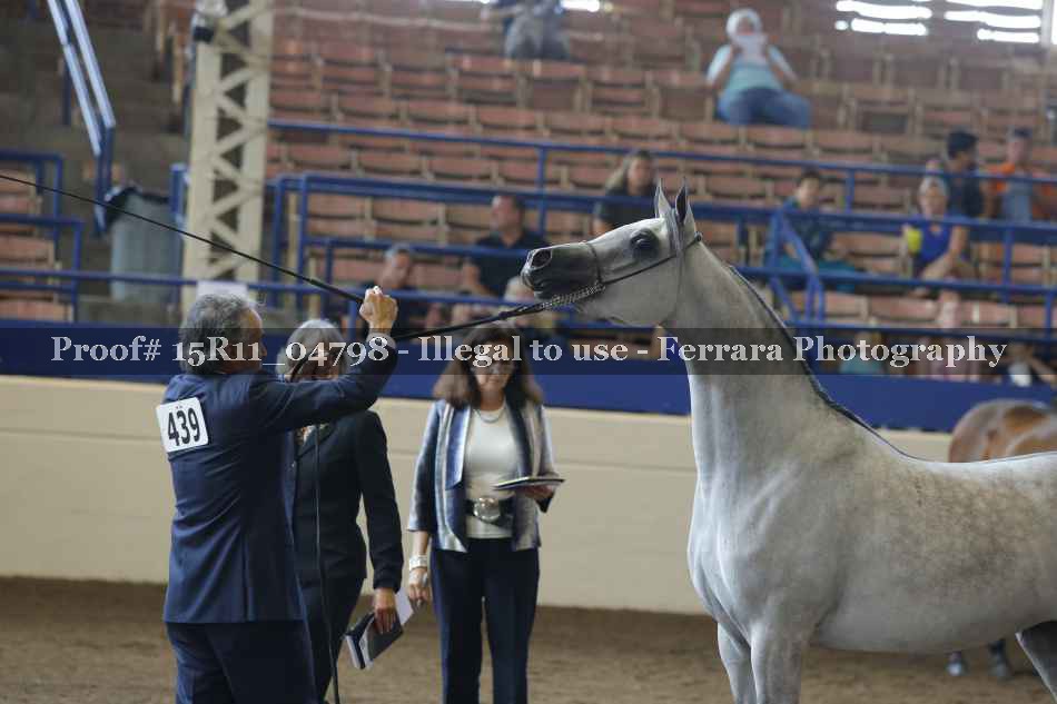 Proof 15R11_04798