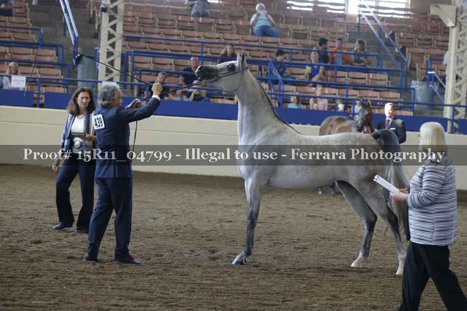 Proof 15R11_04799