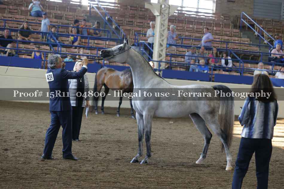 Proof 15R11_04800