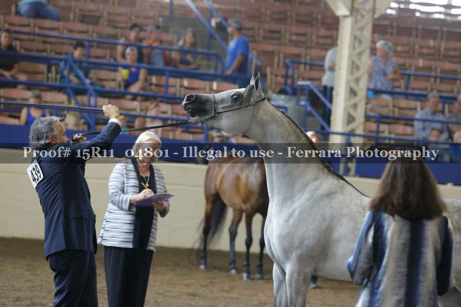 Proof 15R11_04801