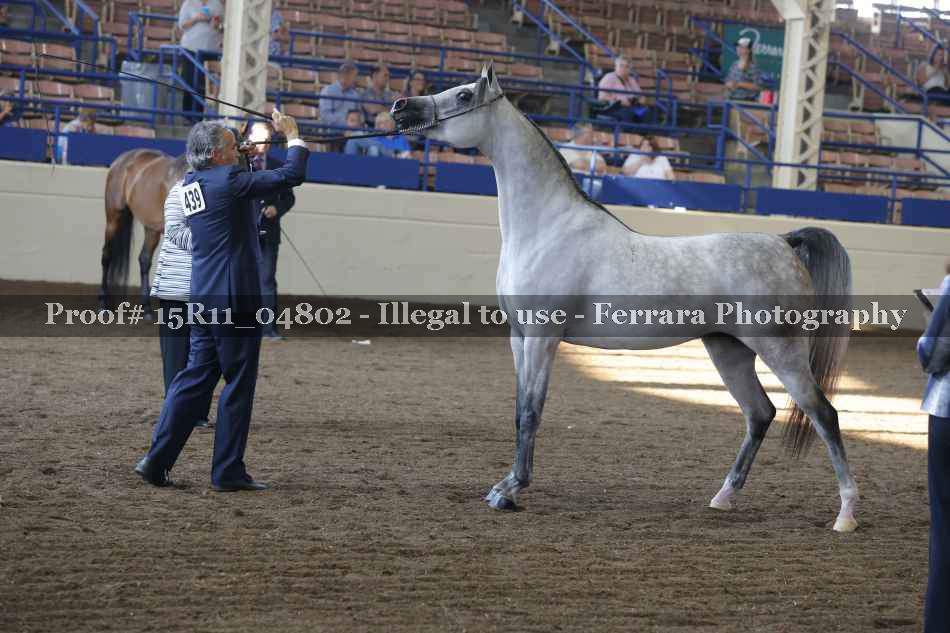 Proof 15R11_04802