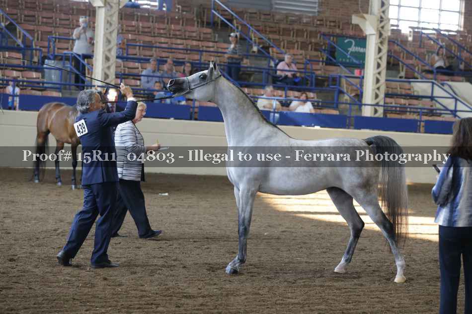 Proof 15R11_04803