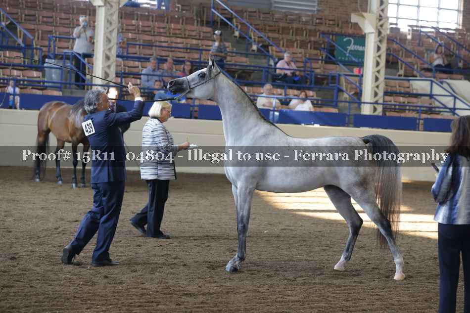 Proof 15R11_04804