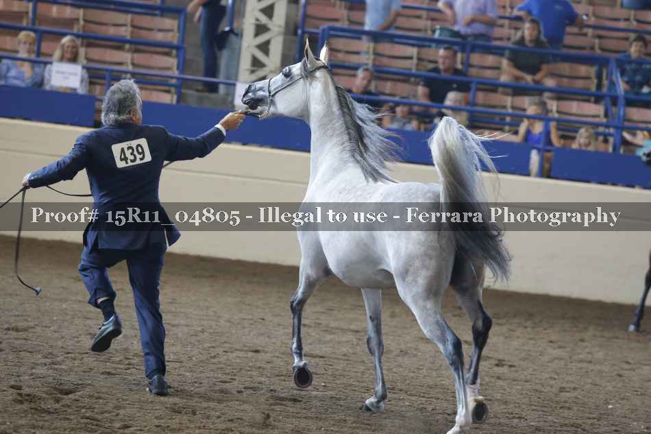 Proof 15R11_04805