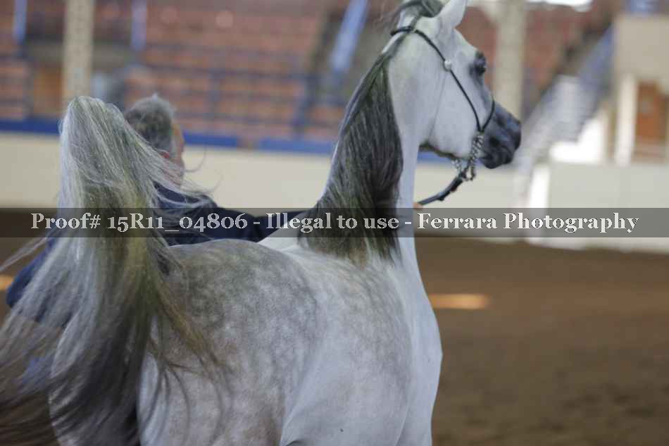 Proof 15R11_04806