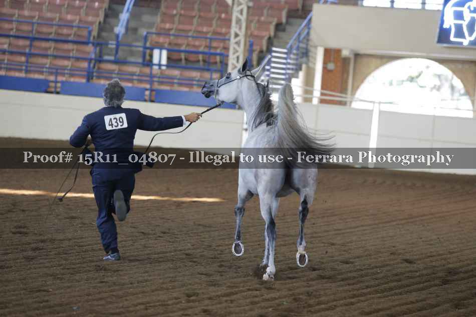 Proof 15R11_04807