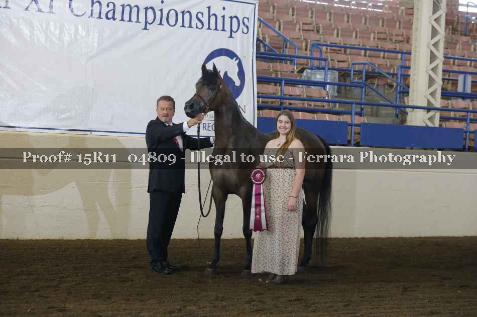 Proof 15R11_04809