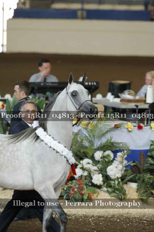 Proof 15R11_04813
