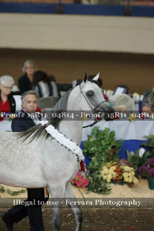 Proof 15R11_04814