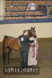 15R11_04817 proof