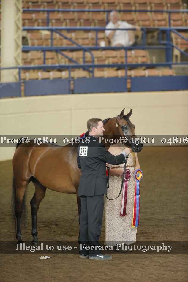 Proof 15R11_04818