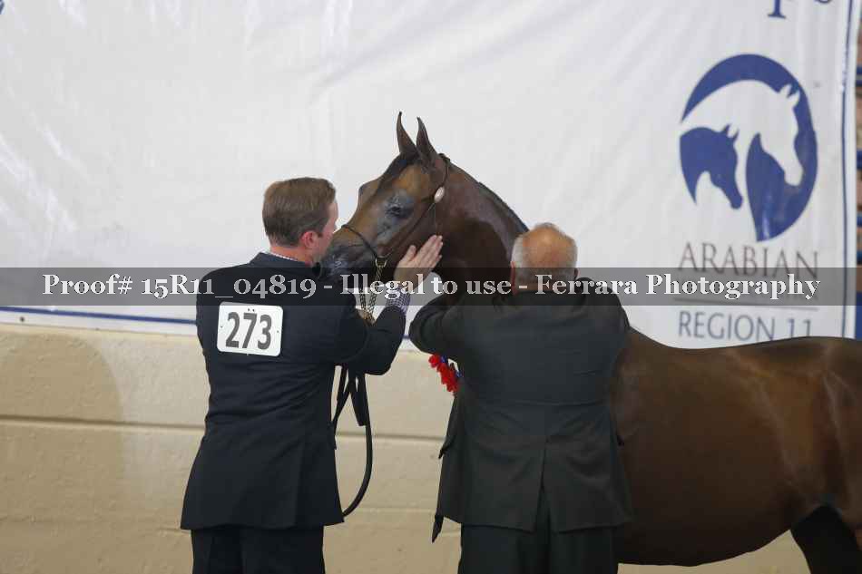 Proof 15R11_04819
