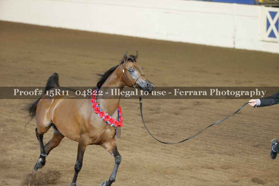 Proof 15R11_04822
