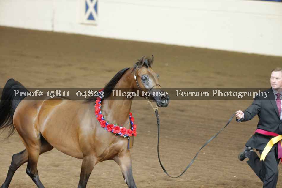 Proof 15R11_04823