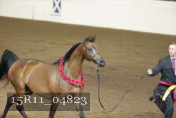 15R11_04823 proof