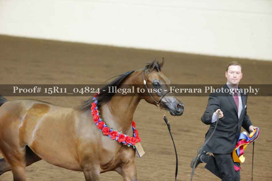 Proof 15R11_04824