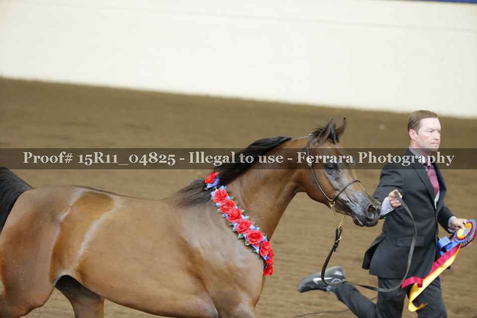 Proof 15R11_04825