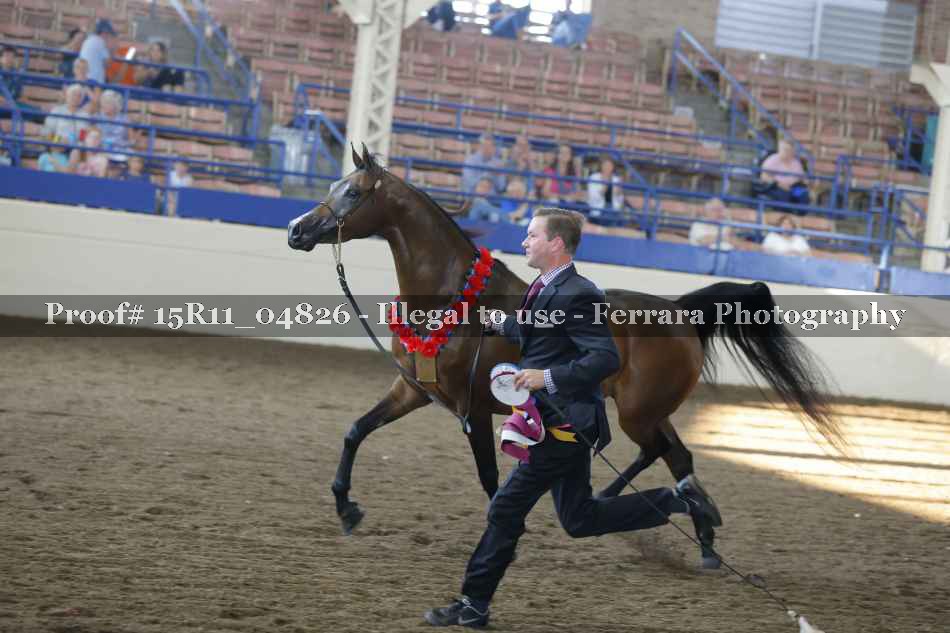 Proof 15R11_04826