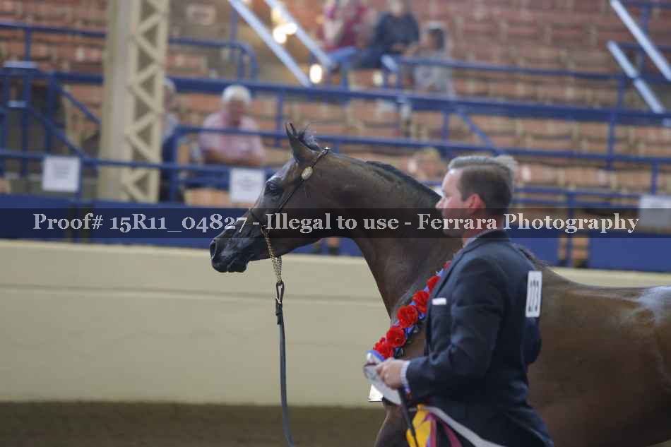 Proof 15R11_04827
