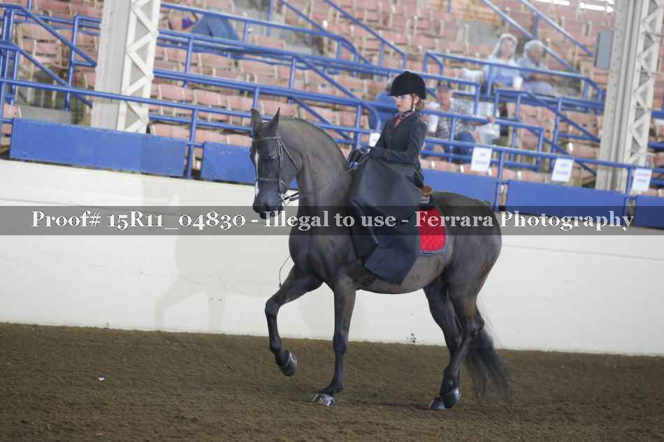 Proof 15R11_04830
