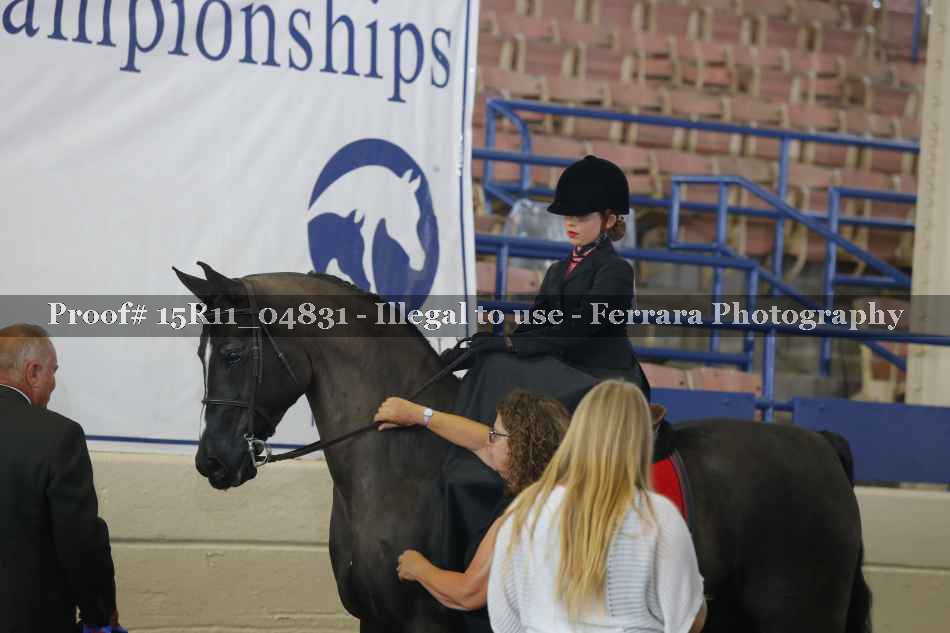 Proof 15R11_04831