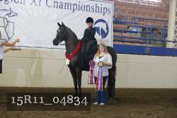 15R11_04834 proof