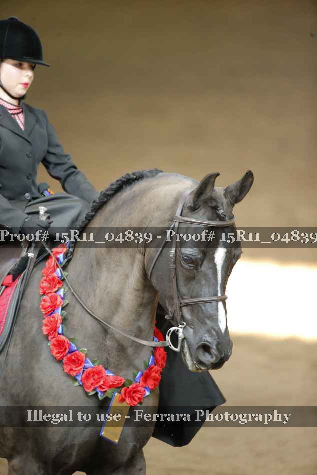 Proof 15R11_04839