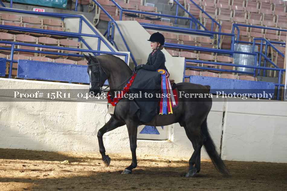 Proof 15R11_04843