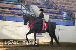 15R11_04843 proof