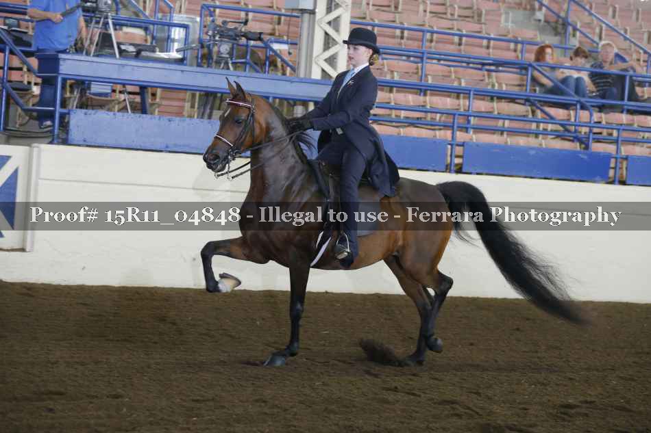Proof 15R11_04848