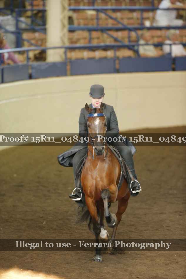 Proof 15R11_04849