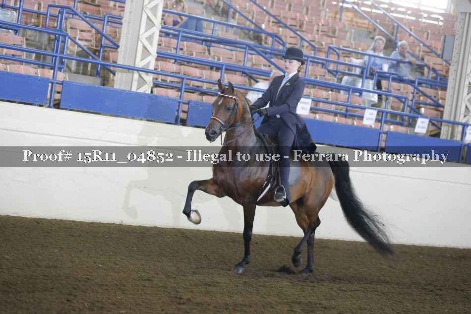 Proof 15R11_04852