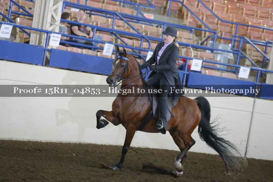 Proof 15R11_04853