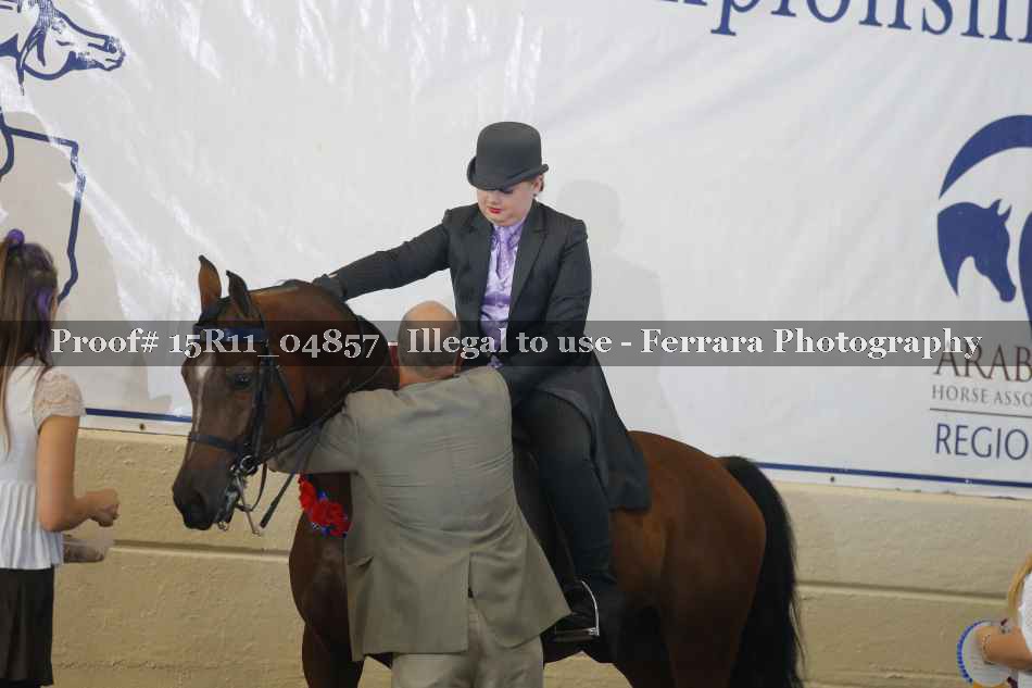 Proof 15R11_04857