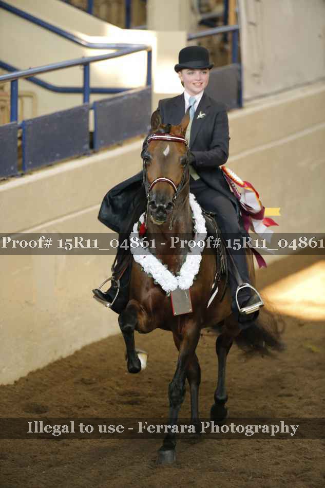 Proof 15R11_04861