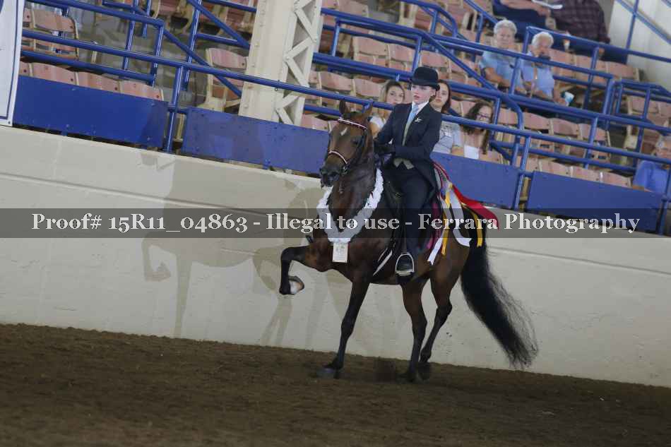 Proof 15R11_04863