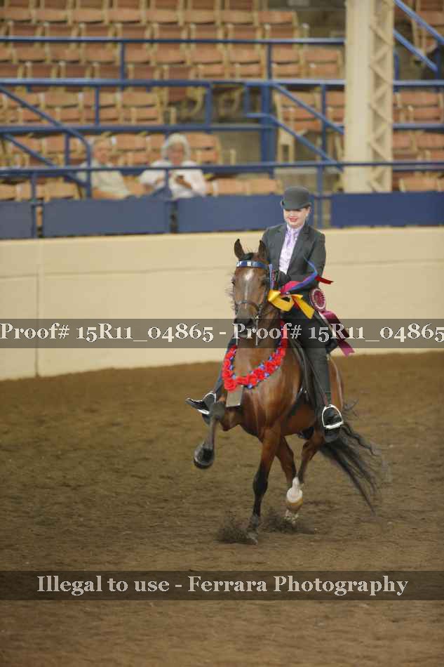 Proof 15R11_04865