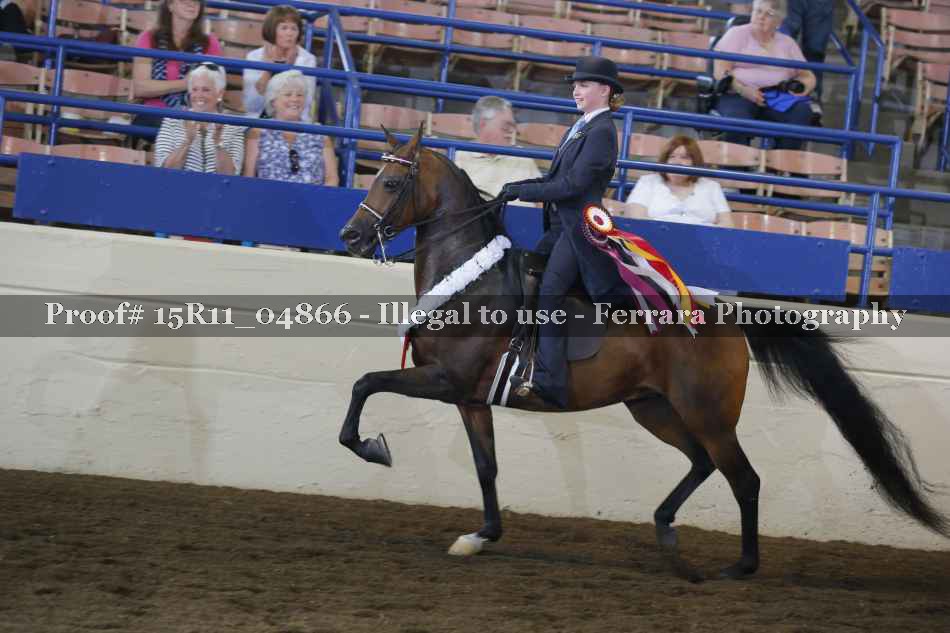 Proof 15R11_04866