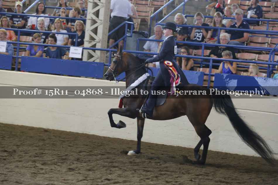Proof 15R11_04868