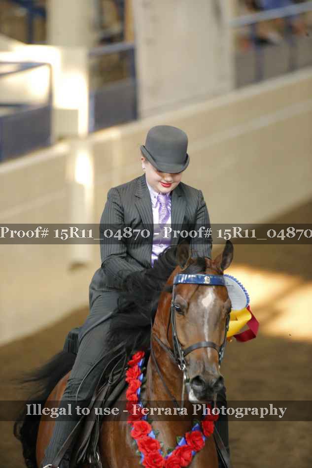 Proof 15R11_04870