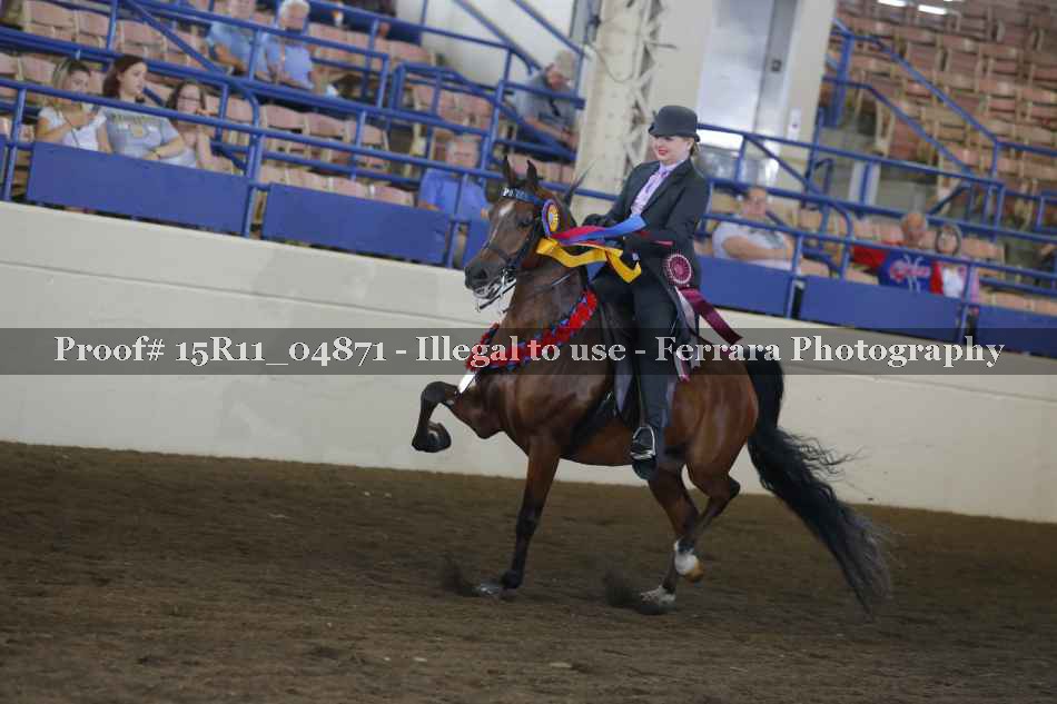 Proof 15R11_04871