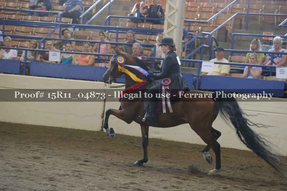 Proof 15R11_04873