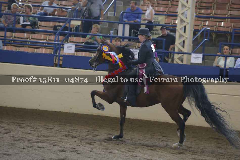 Proof 15R11_04874
