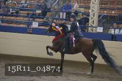 15R11_04874 proof