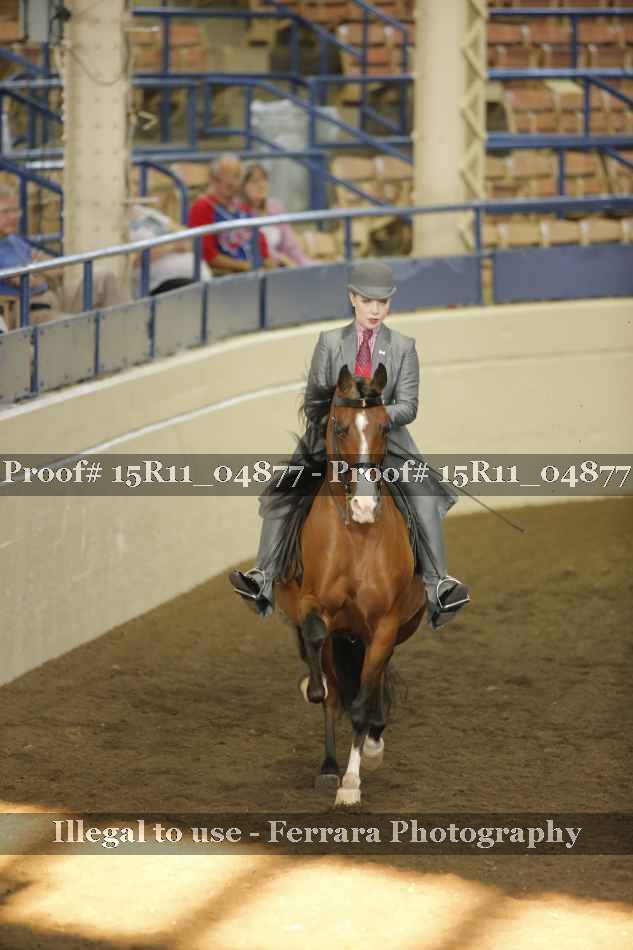 Proof 15R11_04877
